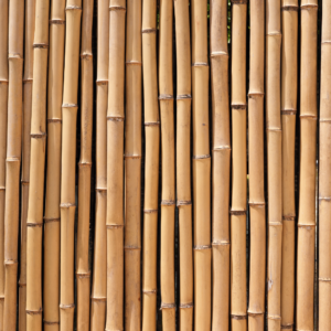 bambu na arquitetura